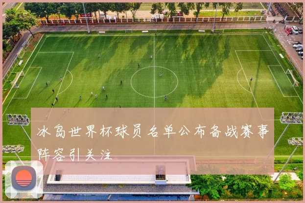 冰岛世界杯球员名单公布备战赛事阵容引关注